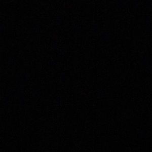 Meet your Posher, Suzi